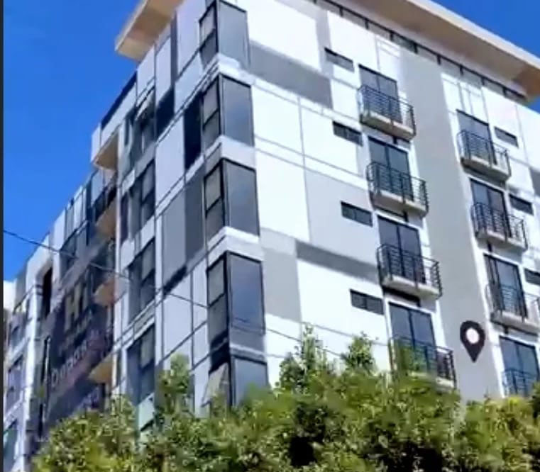 Hi Tijuana 11